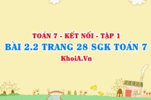 Bài 2.2 trang 28 SGK Toán 7 tập 1 Kết nối tri thức